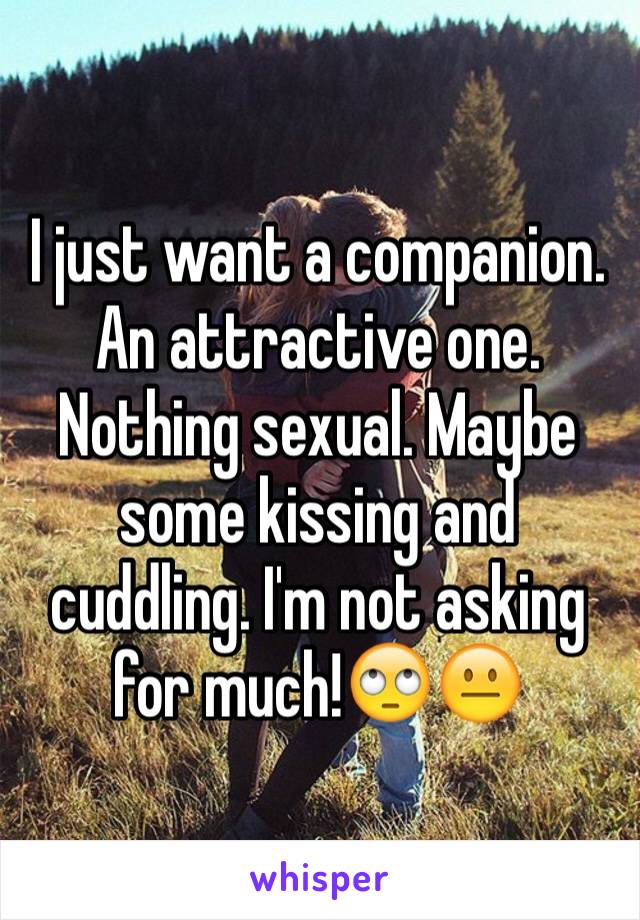 I just want a companion. An attractive one. Nothing sexual. Maybe some kissing and cuddling. I'm not asking for much!🙄😐