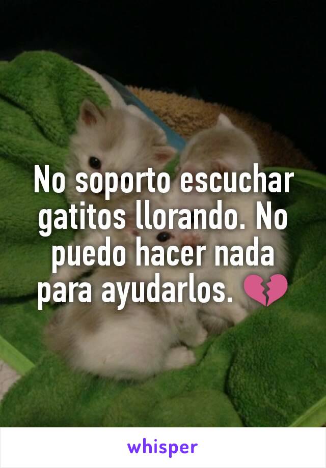 No soporto escuchar gatitos llorando. No puedo hacer nada para ayudarlos. 💔