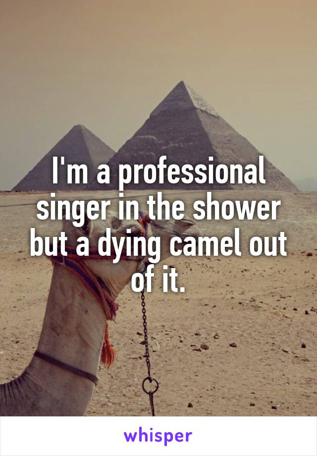 I'm a professional singer in the shower but a dying camel out of it.