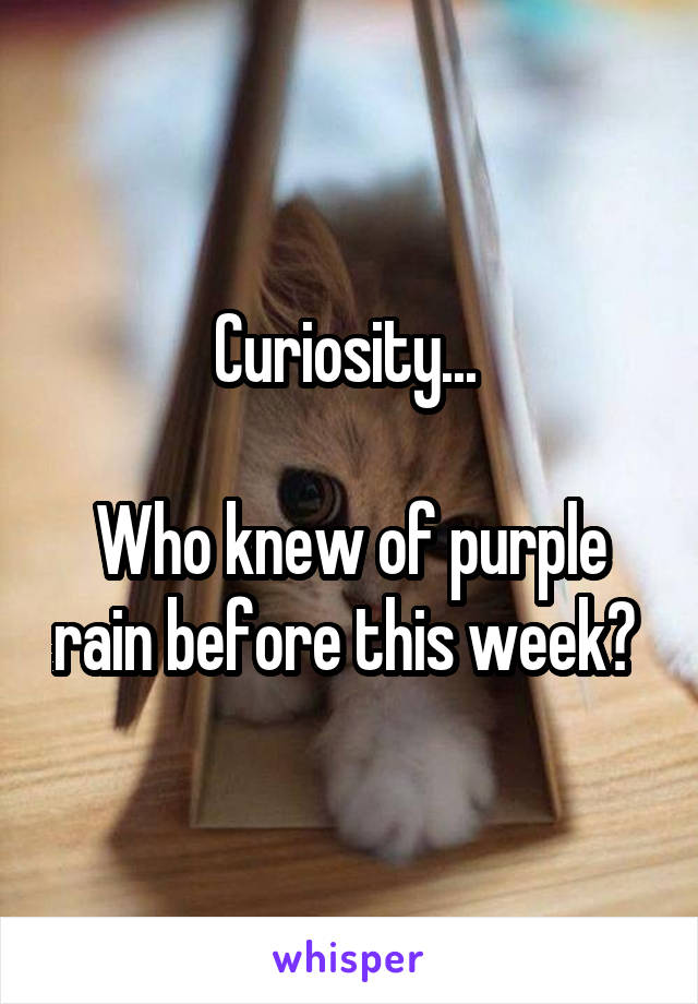 Curiosity... 

Who knew of purple rain before this week? 