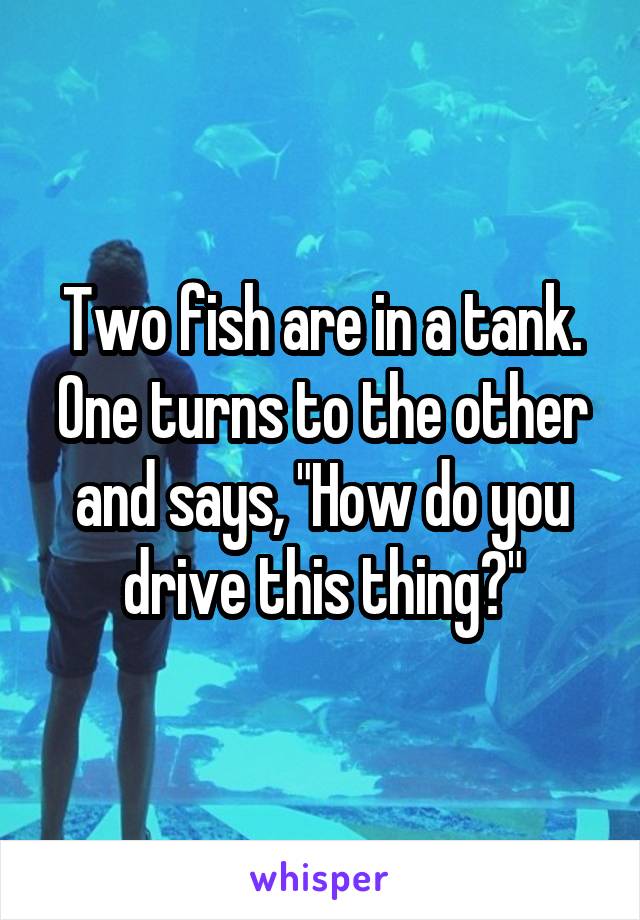 Two fish are in a tank. One turns to the other and says, "How do you drive this thing?"