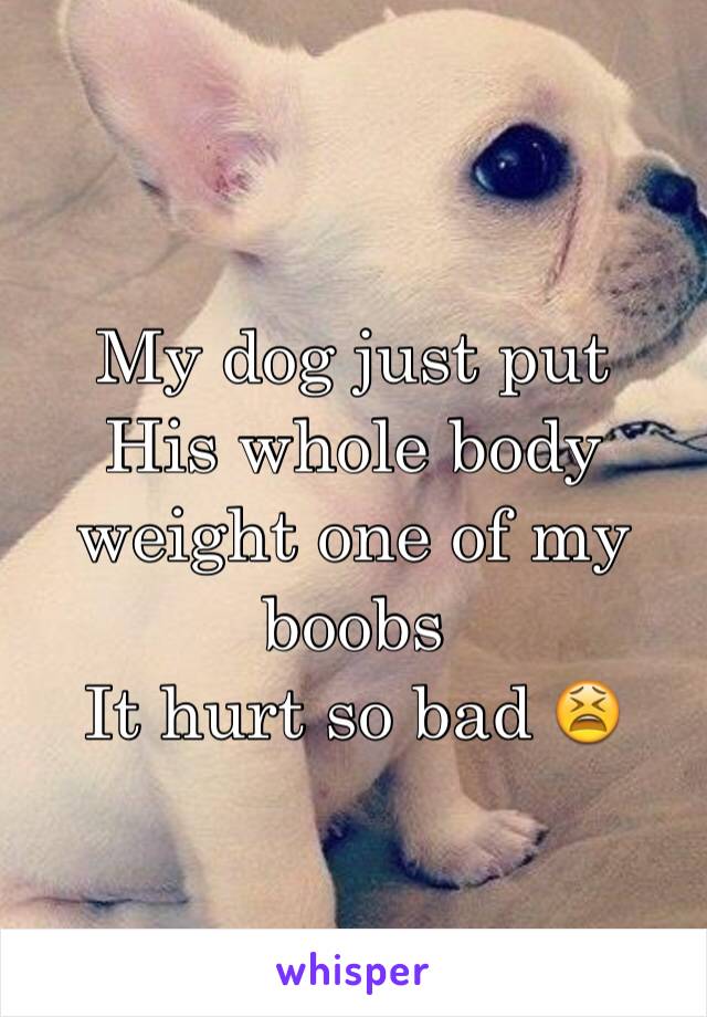 My dog just put 
His whole body weight one of my boobs 
It hurt so bad 😫