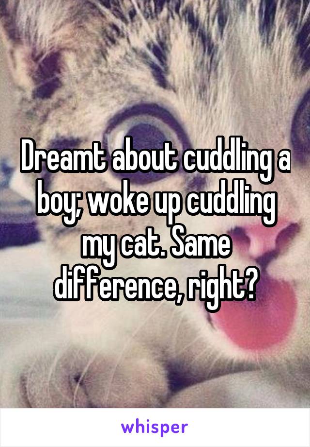 Dreamt about cuddling a boy; woke up cuddling my cat. Same difference, right?