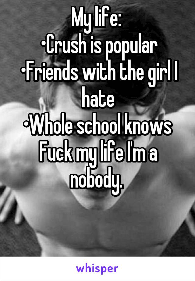 My life: 
•Crush is popular
•Friends with the girl I hate
•Whole school knows 
Fuck my life I'm a nobody. 


