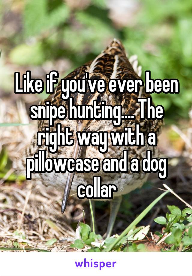 Like if you've ever been snipe hunting.... The right way with a pillowcase and a dog collar