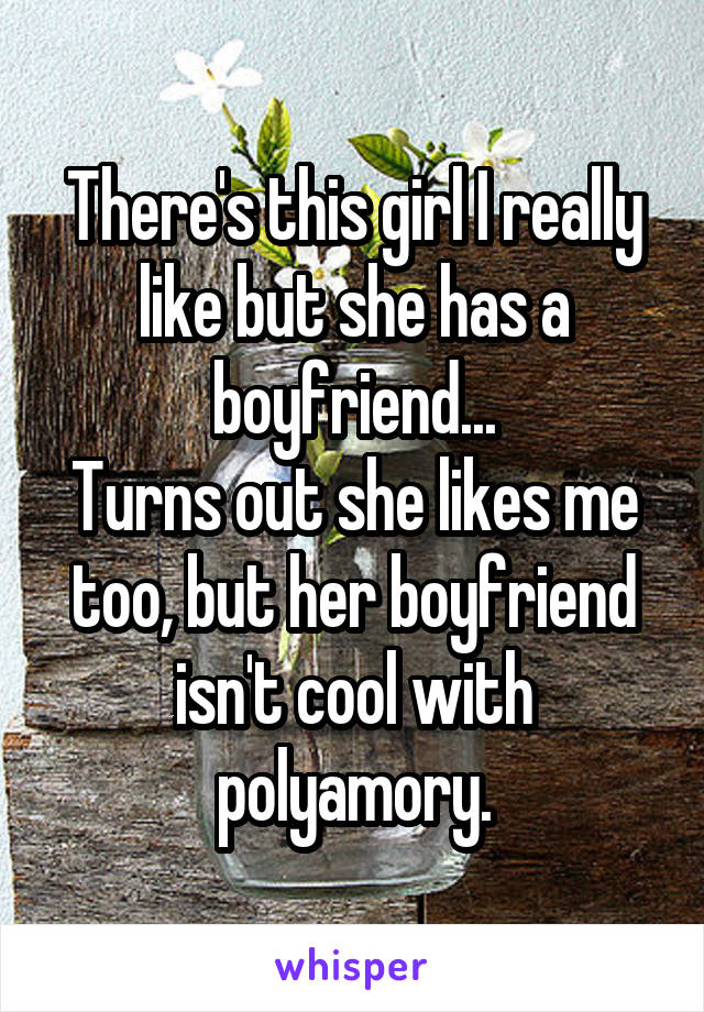 There's this girl I really like but she has a boyfriend...
Turns out she likes me too, but her boyfriend isn't cool with polyamory.