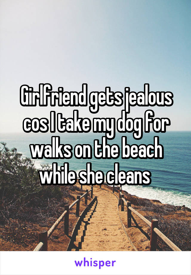 Girlfriend gets jealous cos I take my dog for walks on the beach while she cleans 