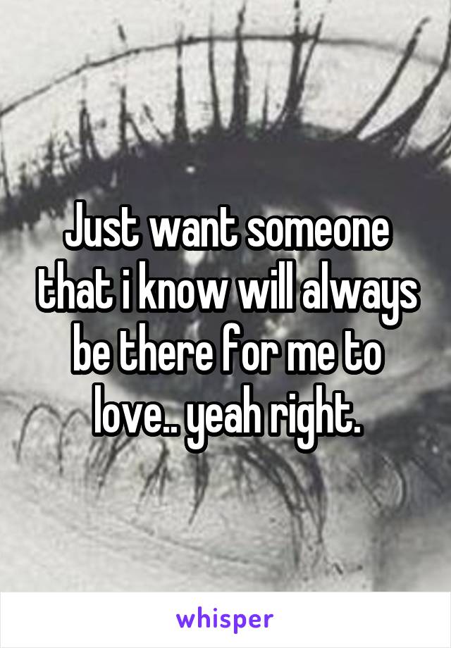 Just want someone that i know will always be there for me to love.. yeah right.