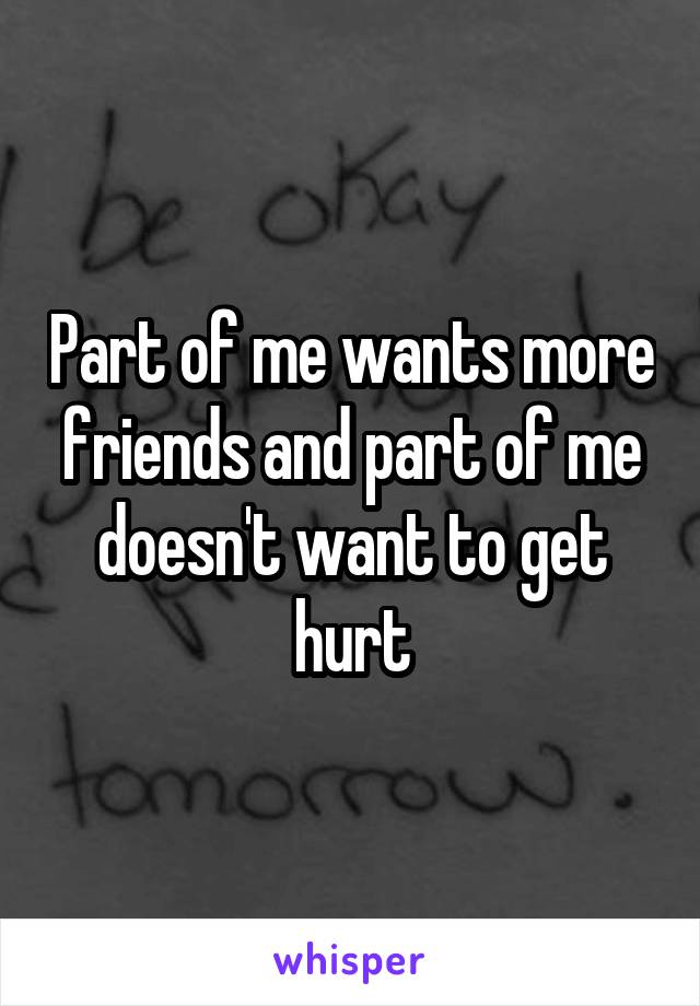 Part of me wants more friends and part of me doesn't want to get hurt