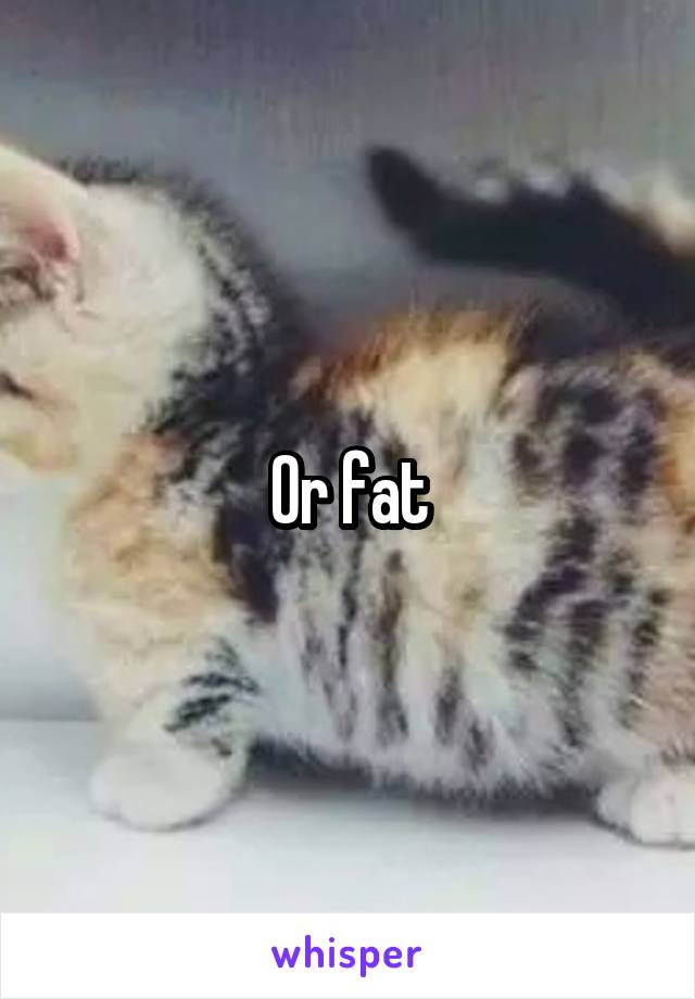 Or fat