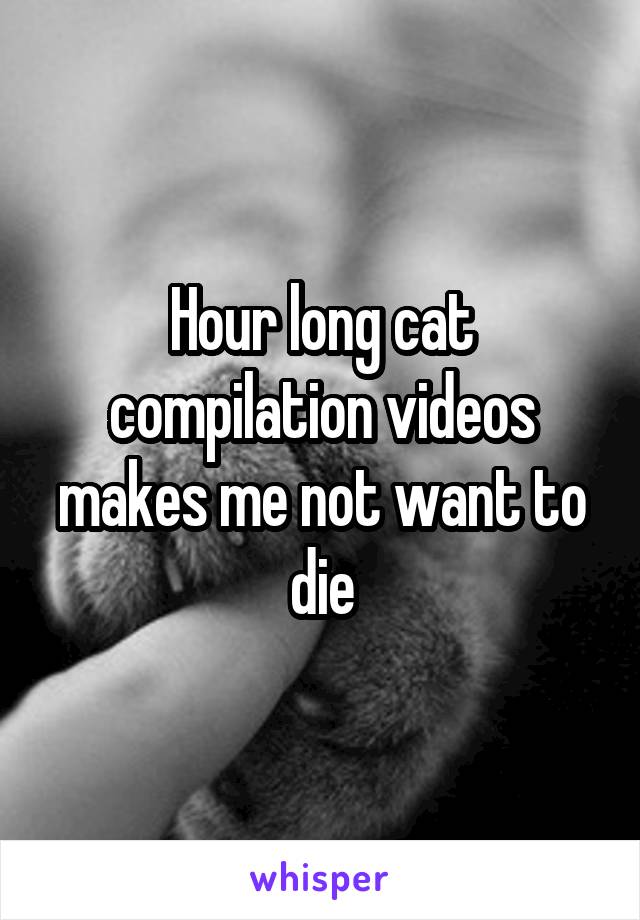 Hour long cat compilation videos makes me not want to die