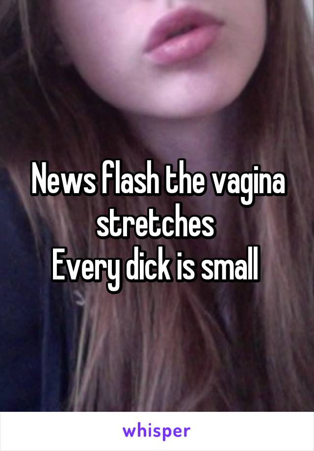 News flash the vagina stretches 
Every dick is small 