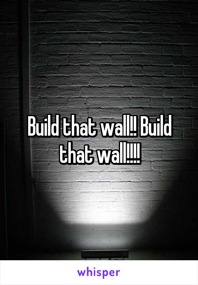 Build that wall!! Build that wall!!!!