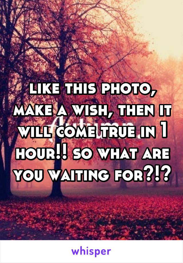 like this photo, make a wish, then it will come true in 1 hour!! so what are you waiting for?!?