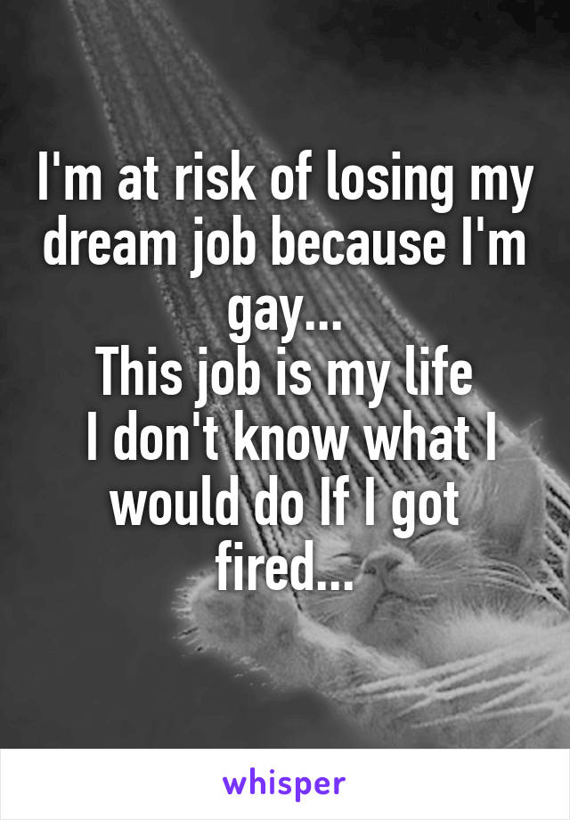 I'm at risk of losing my dream job because I'm gay...
This job is my life
 I don't know what I would do If I got fired...
