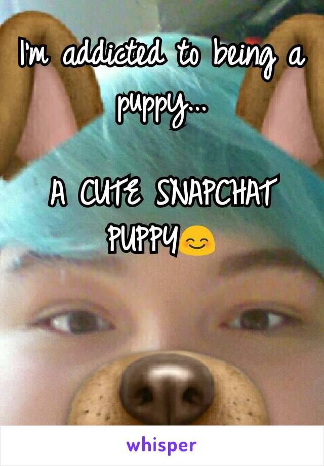 I'm addicted to being a puppy...

A CUTE SNAPCHAT PUPPY😊