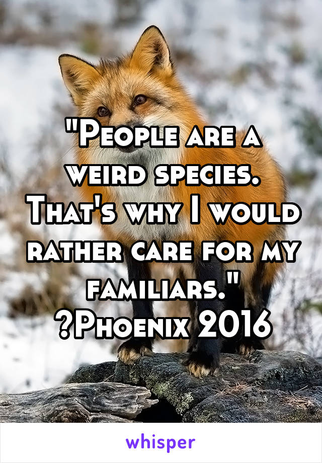 "People are a weird species. That's why I would rather care for my familiars."
~Phoenix 2016