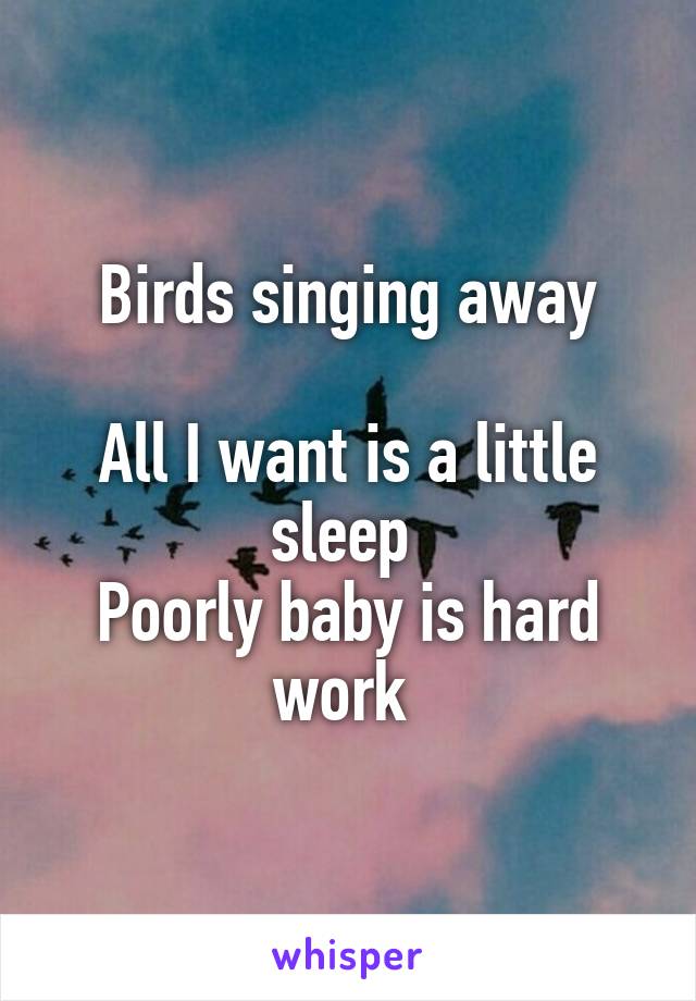 Birds singing away

All I want is a little sleep 
Poorly baby is hard work 