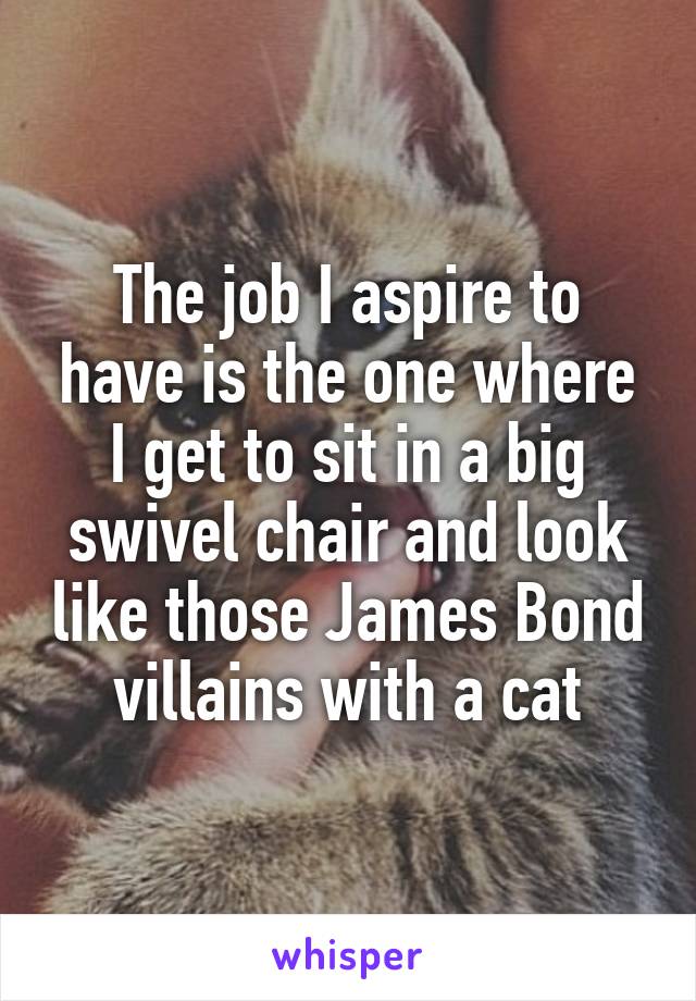 The job I aspire to have is the one where I get to sit in a big swivel chair and look like those James Bond villains with a cat