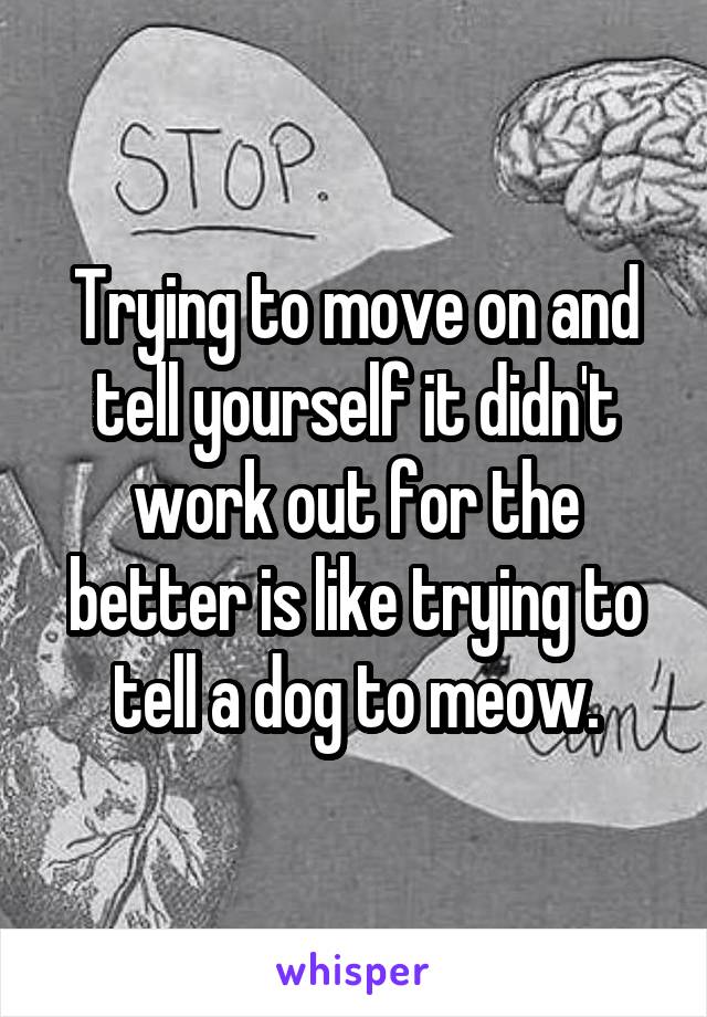 Trying to move on and tell yourself it didn't work out for the better is like trying to tell a dog to meow.