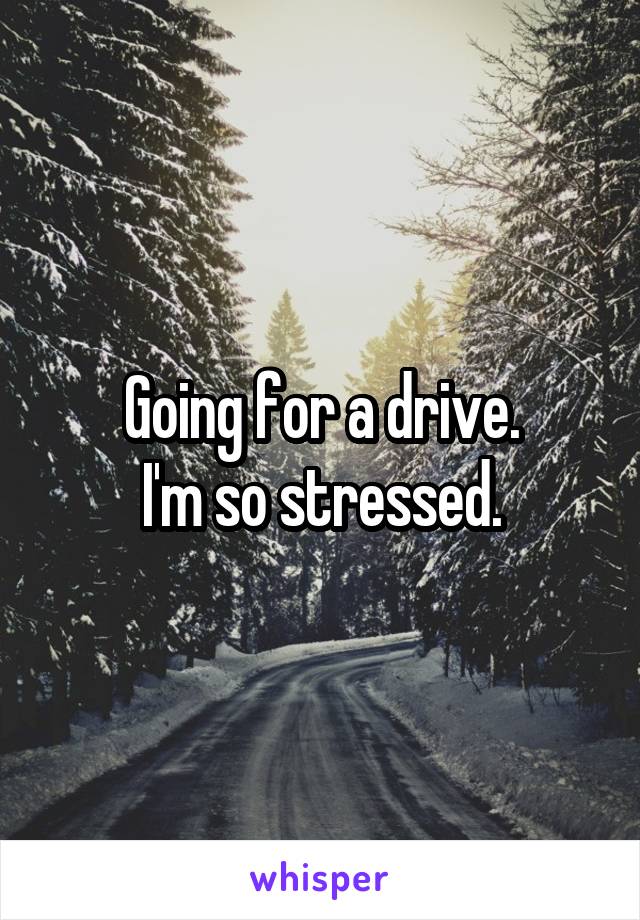 Going for a drive.
I'm so stressed.