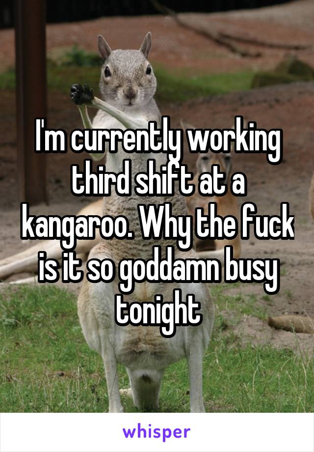 I'm currently working third shift at a kangaroo. Why the fuck is it so goddamn busy tonight