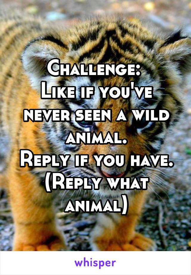 Challenge: 
Like if you've never seen a wild animal.
Reply if you have. (Reply what animal)