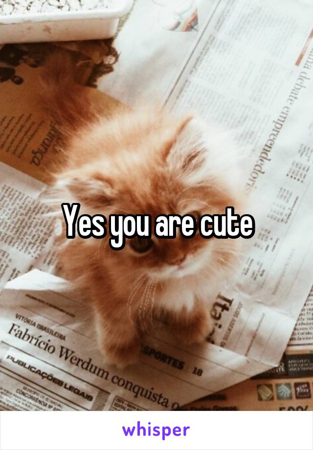 Yes you are cute