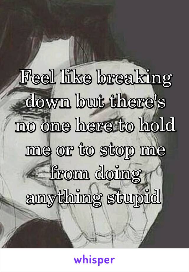 Feel like breaking down but there's no one here to hold me or to stop me from doing anything stupid 