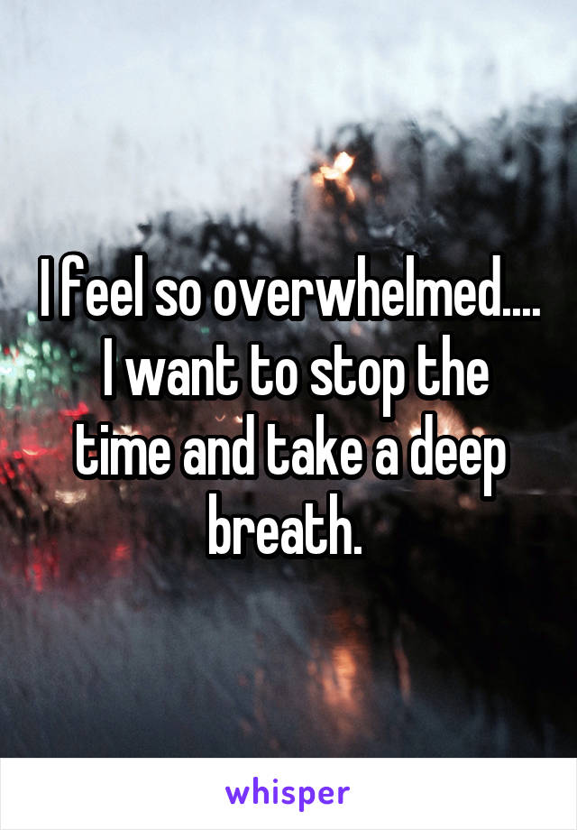 I feel so overwhelmed....
 I want to stop the time and take a deep breath. 