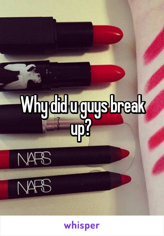 Why did u guys break up? 