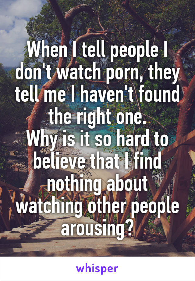 When I tell people I don't watch porn, they tell me I haven't found the right one.
Why is it so hard to believe that I find nothing about watching other people arousing?