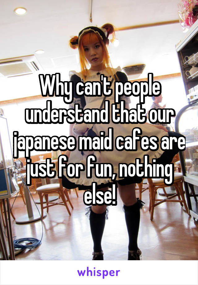 Why can't people understand that our japanese maid cafes are just for fun, nothing else!