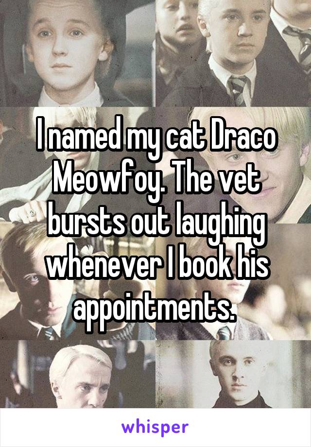 I named my cat Draco Meowfoy. The vet bursts out laughing whenever I book his appointments. 