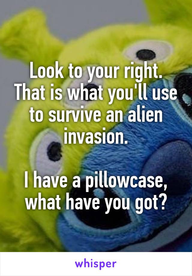 Look to your right. That is what you'll use to survive an alien invasion.

I have a pillowcase, what have you got?