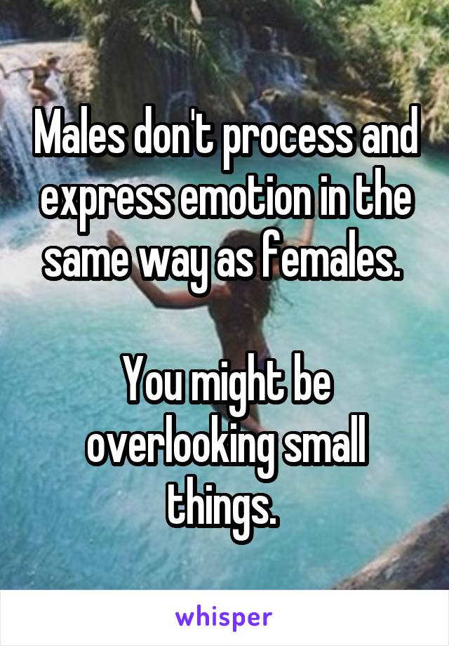 Males don't process and express emotion in the same way as females. 

You might be overlooking small things. 