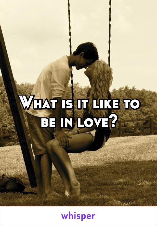 What is it like to be in love?