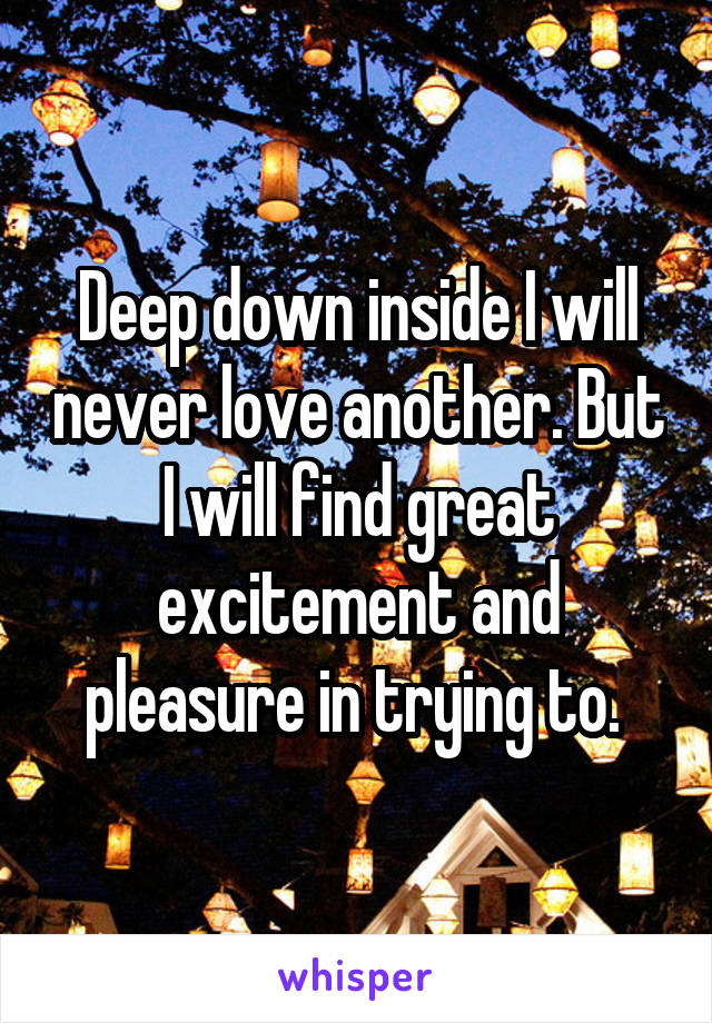 Deep down inside I will never love another. But I will find great excitement and pleasure in trying to. 