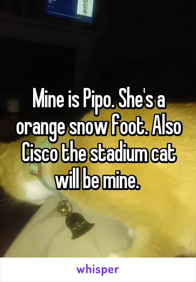 Mine is Pipo. She's a orange snow foot. Also Cisco the stadium cat will be mine. 