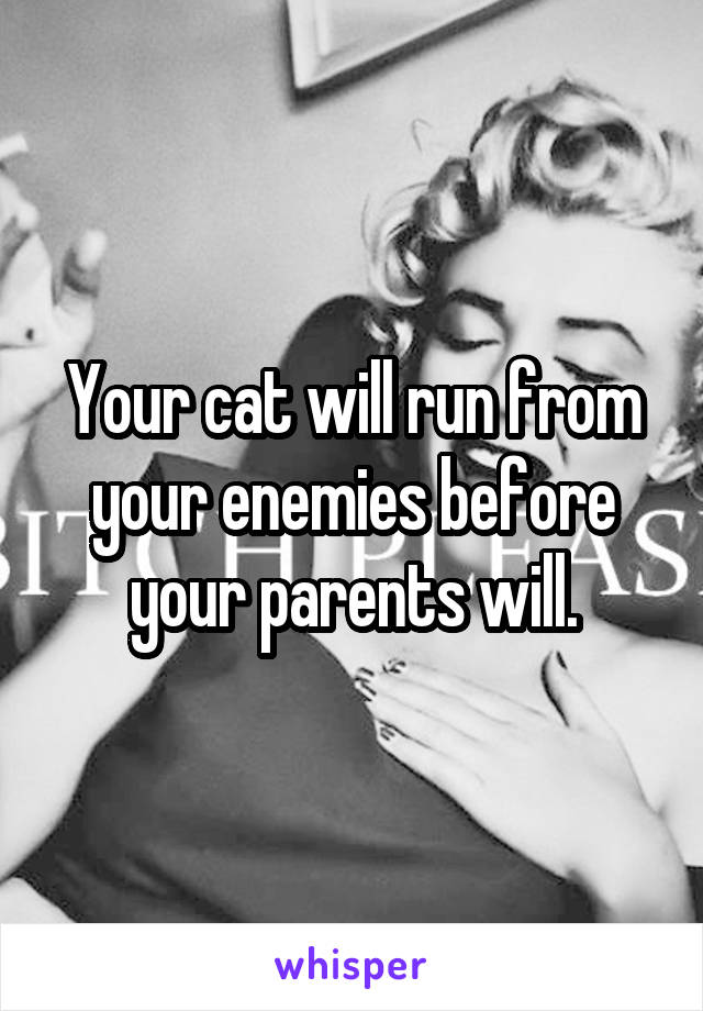 Your cat will run from your enemies before your parents will.