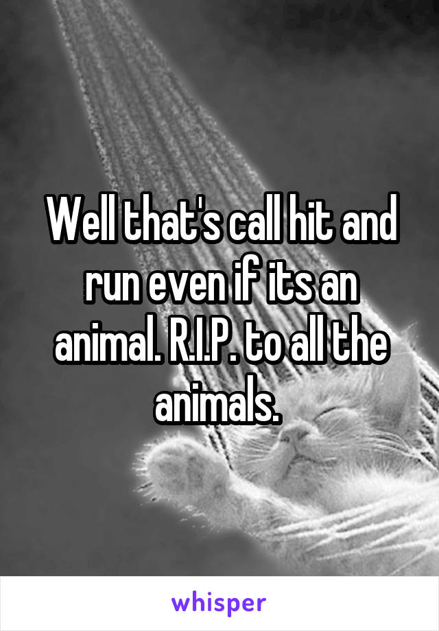 Well that's call hit and run even if its an animal. R.I.P. to all the animals. 