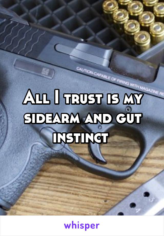 All I trust is my sidearm and gut instinct 