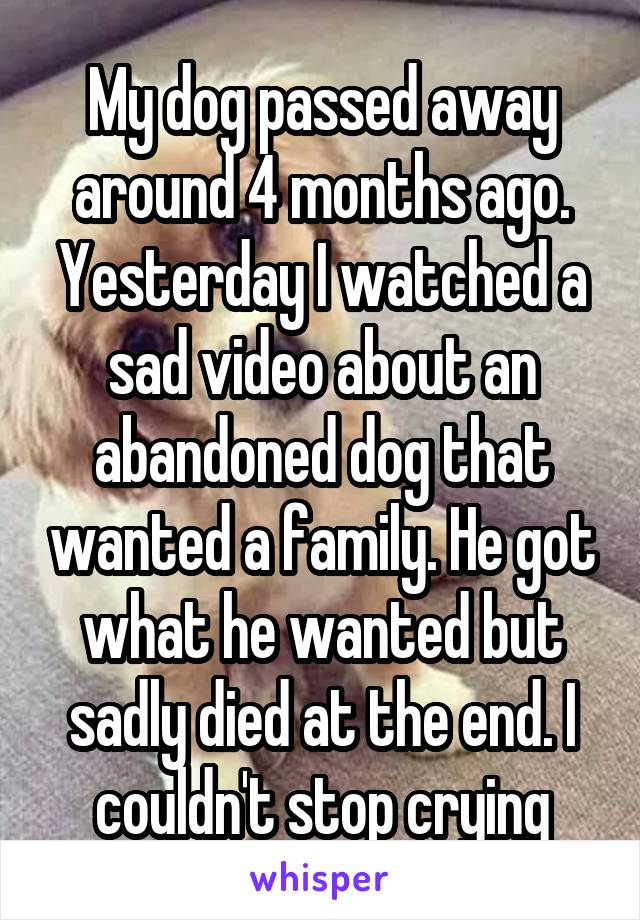 My dog passed away around 4 months ago. Yesterday I watched a sad video about an abandoned dog that wanted a family. He got what he wanted but sadly died at the end. I couldn't stop crying