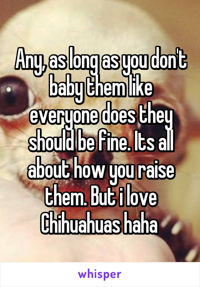Any, as long as you don't baby them like everyone does they should be fine. Its all about how you raise them. But i love Chihuahuas haha 