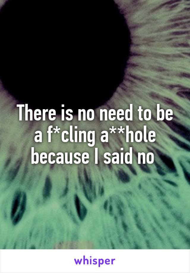 There is no need to be a f*cling a**hole because I said no 