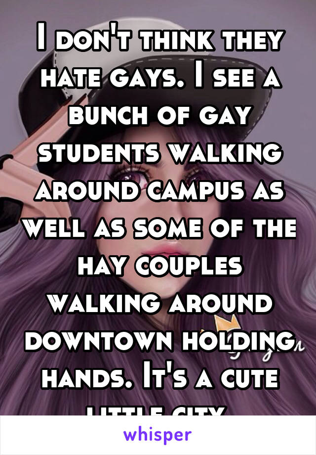 I don't think they hate gays. I see a bunch of gay students walking around campus as well as some of the hay couples walking around downtown holding hands. It's a cute little city.