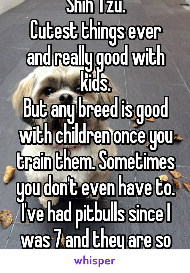 Shih Tzu.
Cutest things ever and really good with kids.
But any breed is good with children once you train them. Sometimes you don't even have to. I've had pitbulls since I was 7 and they are so sweet