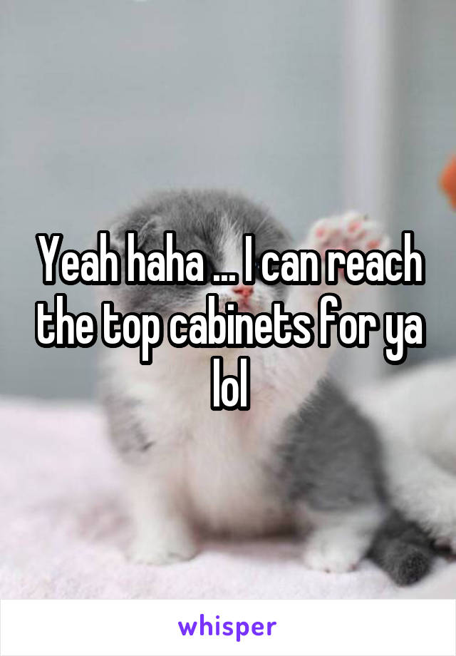 Yeah haha ... I can reach the top cabinets for ya lol