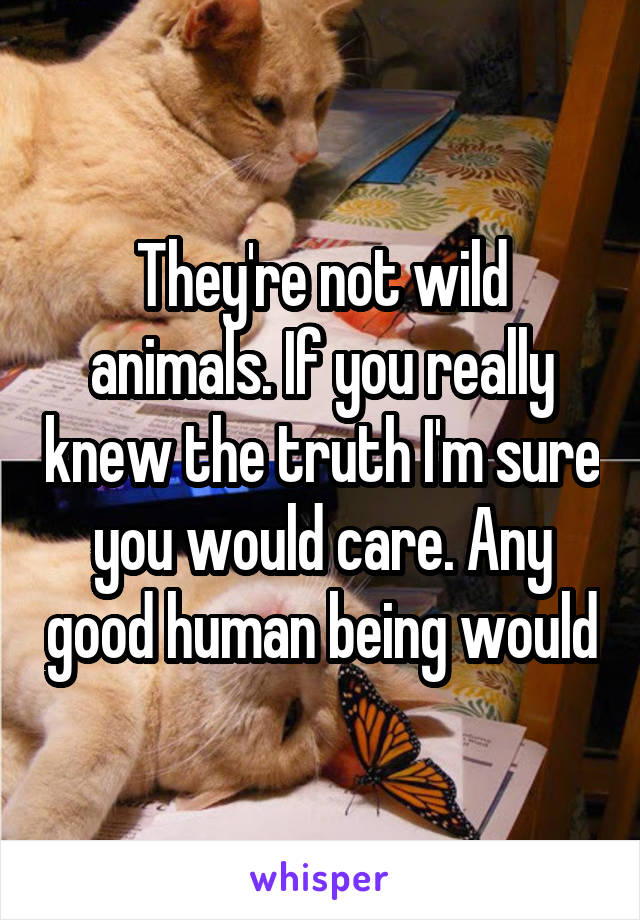 They're not wild animals. If you really knew the truth I'm sure you would care. Any good human being would