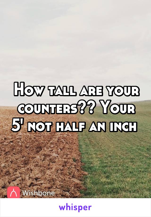 How tall are your counters?? Your 5' not half an inch 